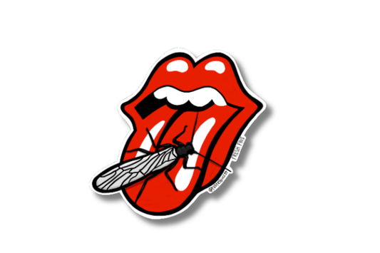 The Rolling Stoneflies